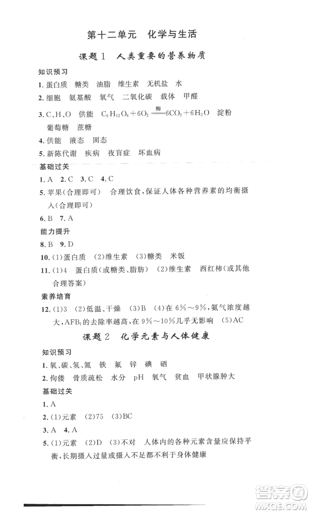 安徽人民出版社2022思路教練同步課時作業(yè)九年級化學人教版參考答案