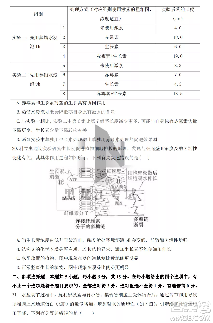 鶴崗一中2022-2023高二上學(xué)期生物11月期中考試試題答案