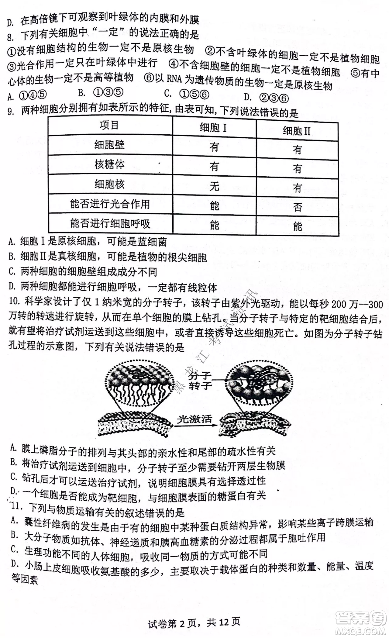 齊齊哈爾市部分地區(qū)高三上學(xué)期期中考試生物試題答案