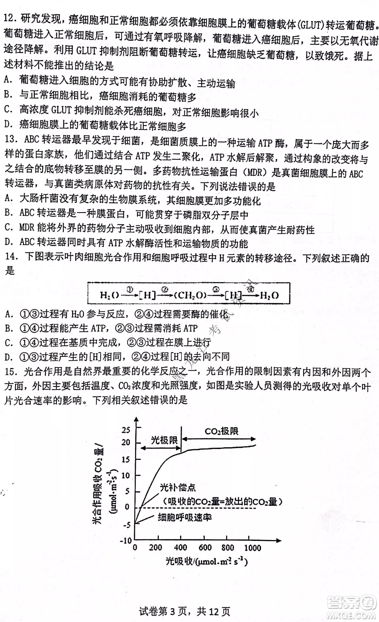 齊齊哈爾市部分地區(qū)高三上學(xué)期期中考試生物試題答案