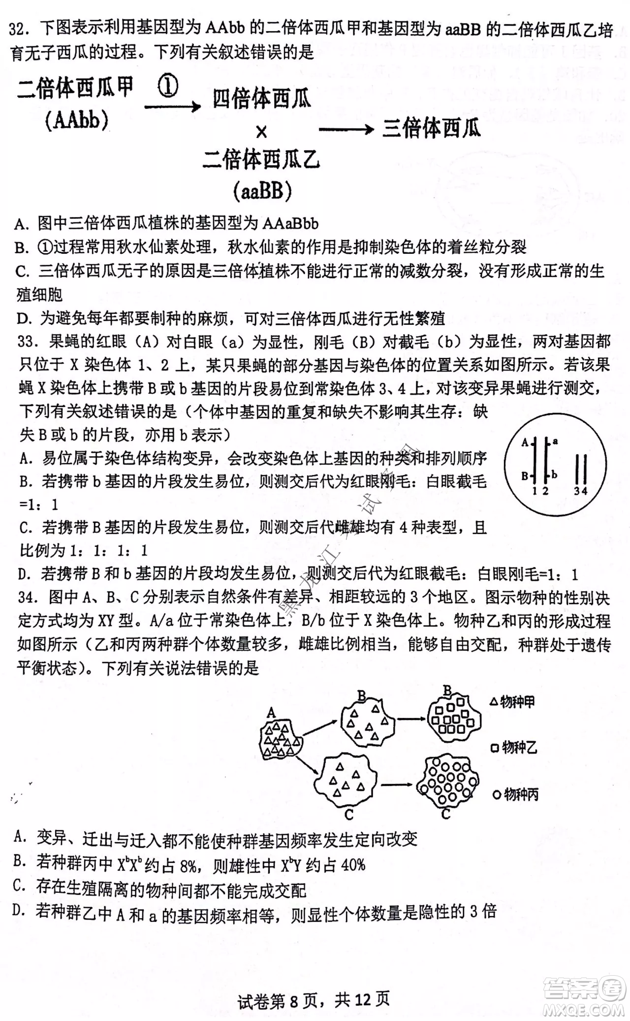 齊齊哈爾市部分地區(qū)高三上學(xué)期期中考試生物試題答案