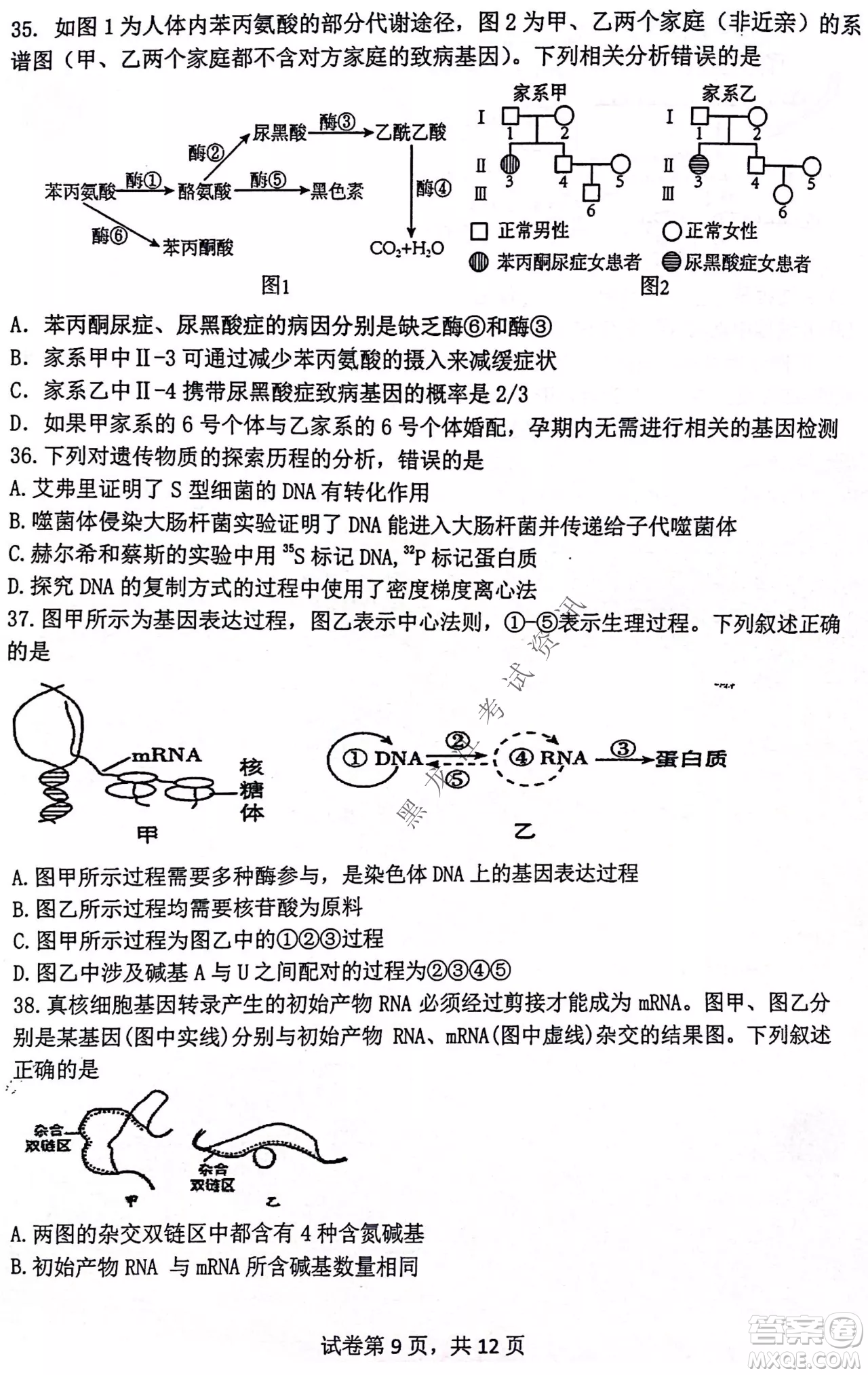 齊齊哈爾市部分地區(qū)高三上學(xué)期期中考試生物試題答案