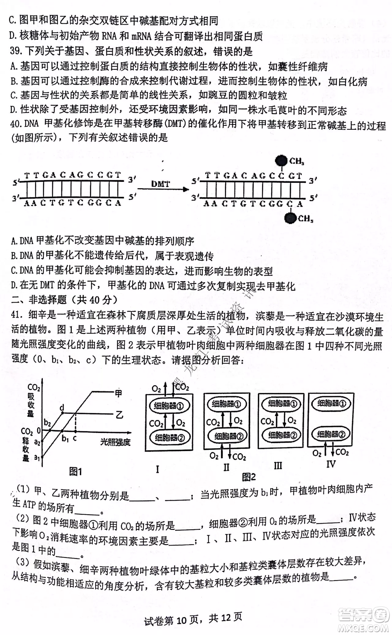 齊齊哈爾市部分地區(qū)高三上學(xué)期期中考試生物試題答案