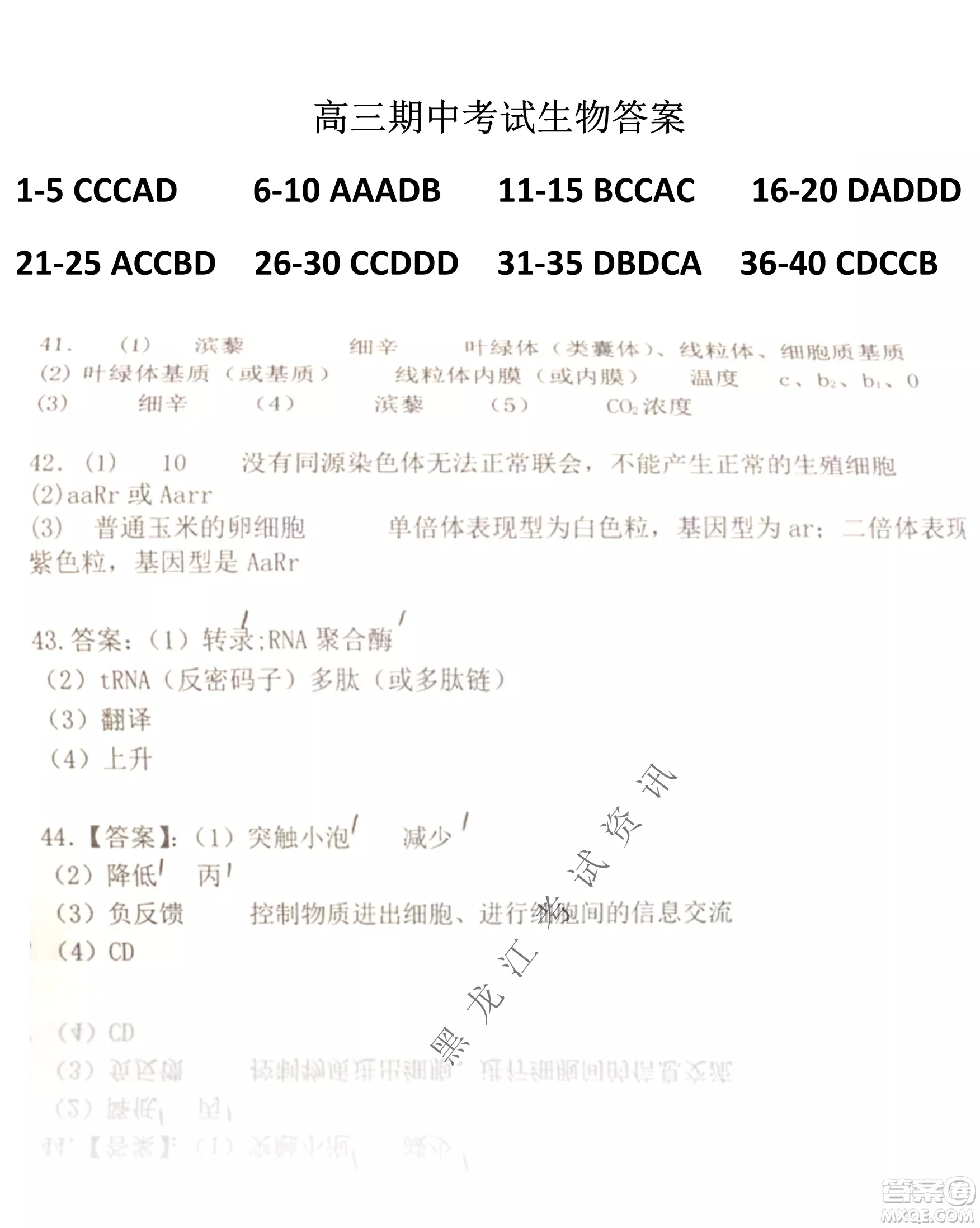 齊齊哈爾市部分地區(qū)高三上學(xué)期期中考試生物試題答案