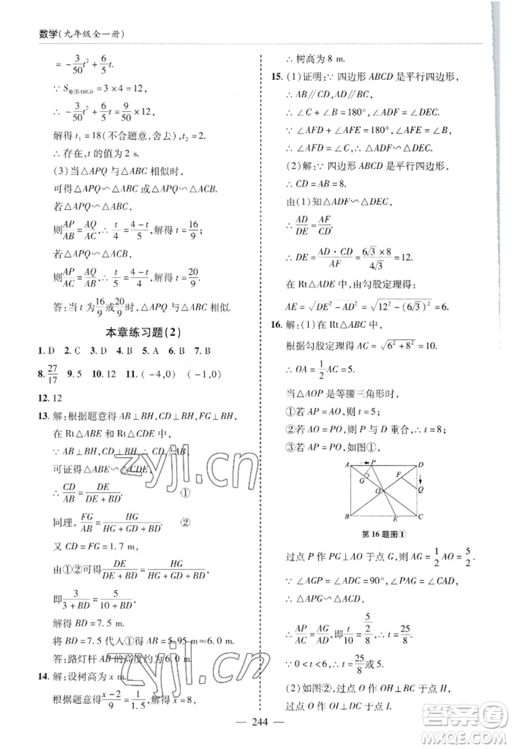 青島出版社2022新課堂學(xué)習(xí)與探究九年級(jí)數(shù)學(xué)人教版參考答案