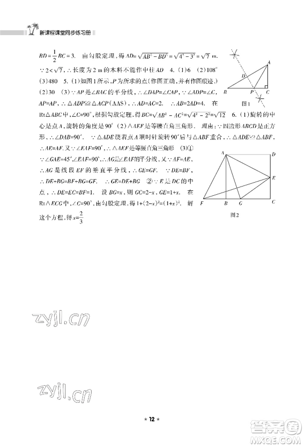 海南出版社2022新課程課堂同步練習(xí)冊(cè)八年級(jí)上冊(cè)數(shù)學(xué)華東師大版參考答案