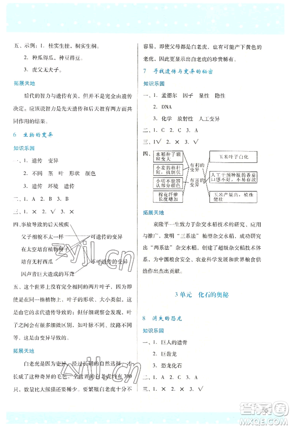 陜西人民教育出版社2022新課程學(xué)習(xí)與評價(jià)六年級上冊數(shù)學(xué)蘇教版參考答案