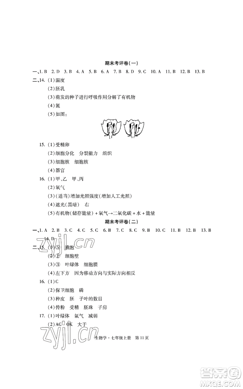 明天出版社2022初中同步練習(xí)冊(cè)自主測(cè)試卷七年級(jí)上冊(cè)生物學(xué)人教版參考答案