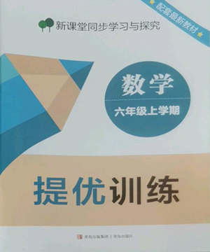 青島出版社2022新課堂同步學(xué)習(xí)與探究提優(yōu)訓(xùn)練六年級上冊數(shù)學(xué)青島版參考答案