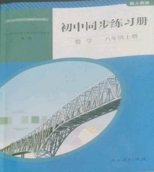 人民教育出版社2022同步練習(xí)冊八年級數(shù)學(xué)上冊人教版山東專版參考答案