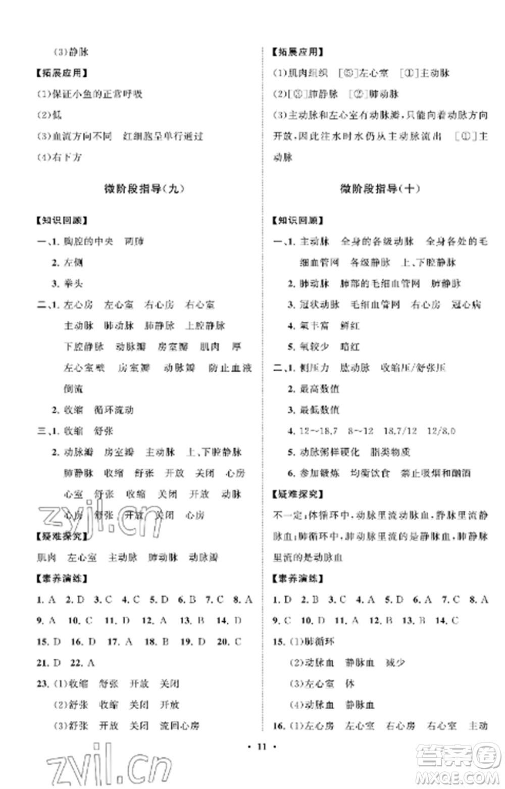 山東教育出版社2022初中同步練習(xí)冊(cè)分層卷七年級(jí)生物上冊(cè)魯科版五四制參考答案