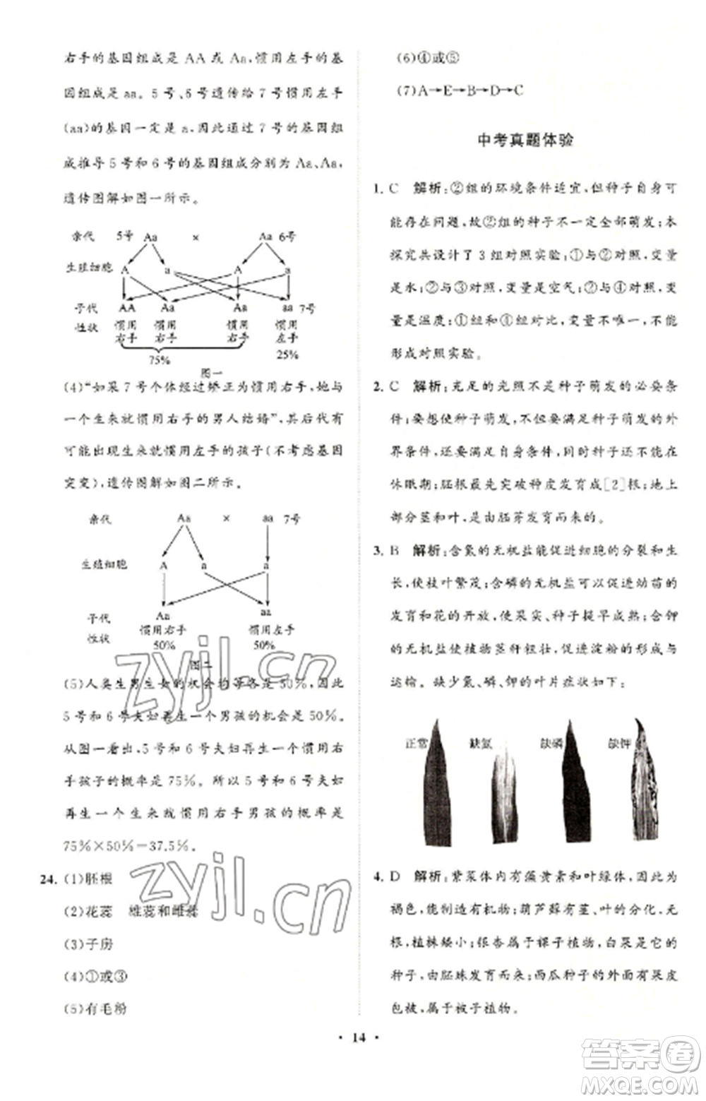 山東教育出版社2022初中同步練習(xí)冊分層卷八年級生物上冊濟南版參考答案