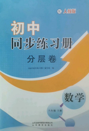 山東教育出版社2022初中同步練習(xí)冊分層卷八年級數(shù)學(xué)上冊人教版參考答案