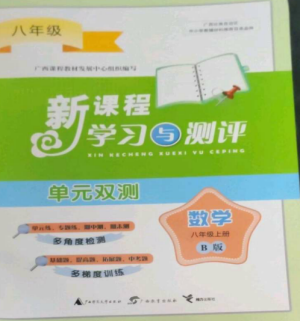 廣西師范大學(xué)出版社2022新課程學(xué)習(xí)與測評單元雙測八年級數(shù)學(xué)上冊湘教版B版參考答案