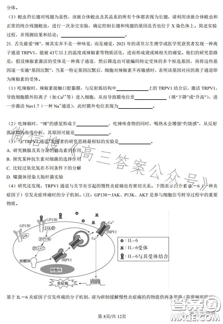 雅禮中學(xué)2023屆高三月考四生物試卷答案