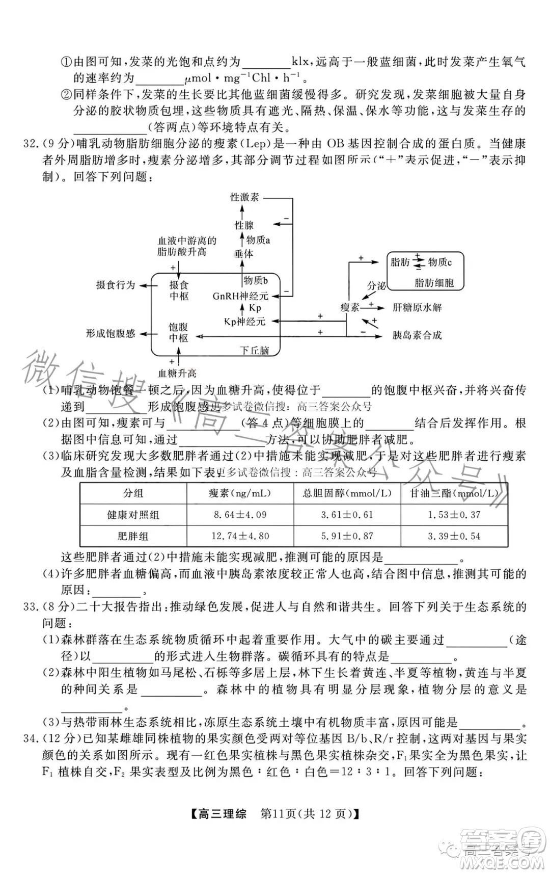 2022-2023學(xué)年金科大聯(lián)考高三12月質(zhì)量檢測理科綜合試卷答案