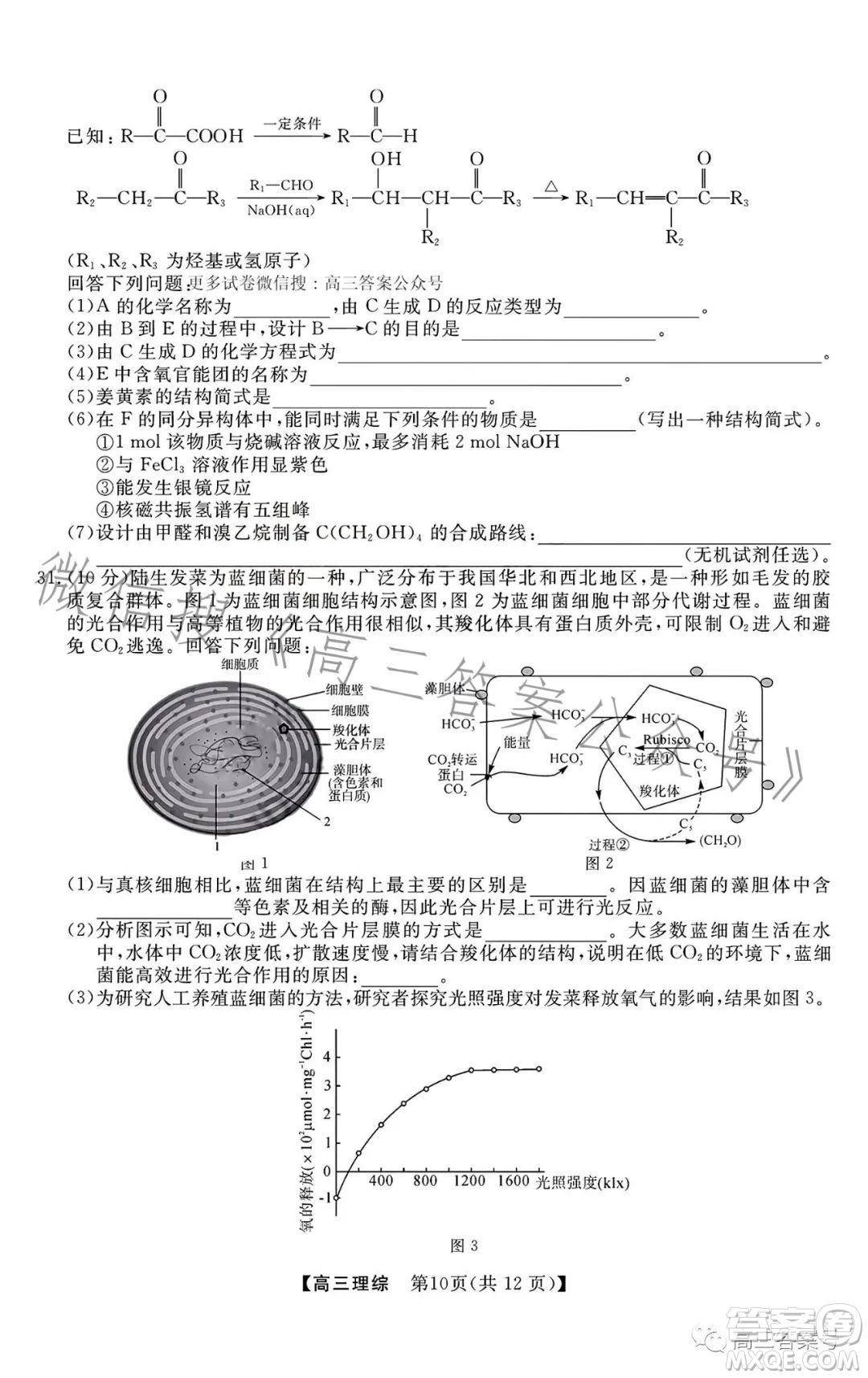 2022-2023學(xué)年金科大聯(lián)考高三12月質(zhì)量檢測理科綜合試卷答案