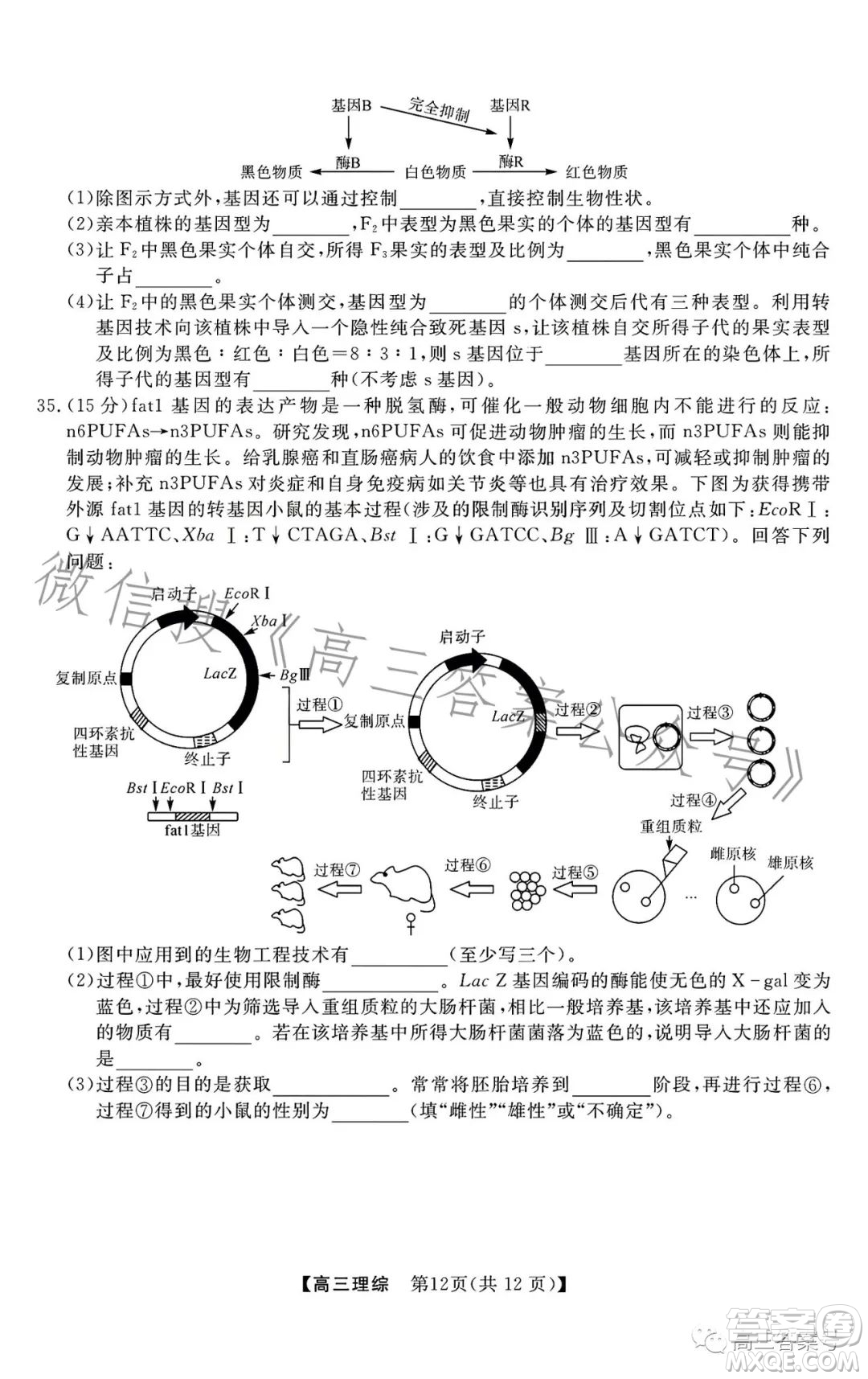 2022-2023學(xué)年金科大聯(lián)考高三12月質(zhì)量檢測理科綜合試卷答案