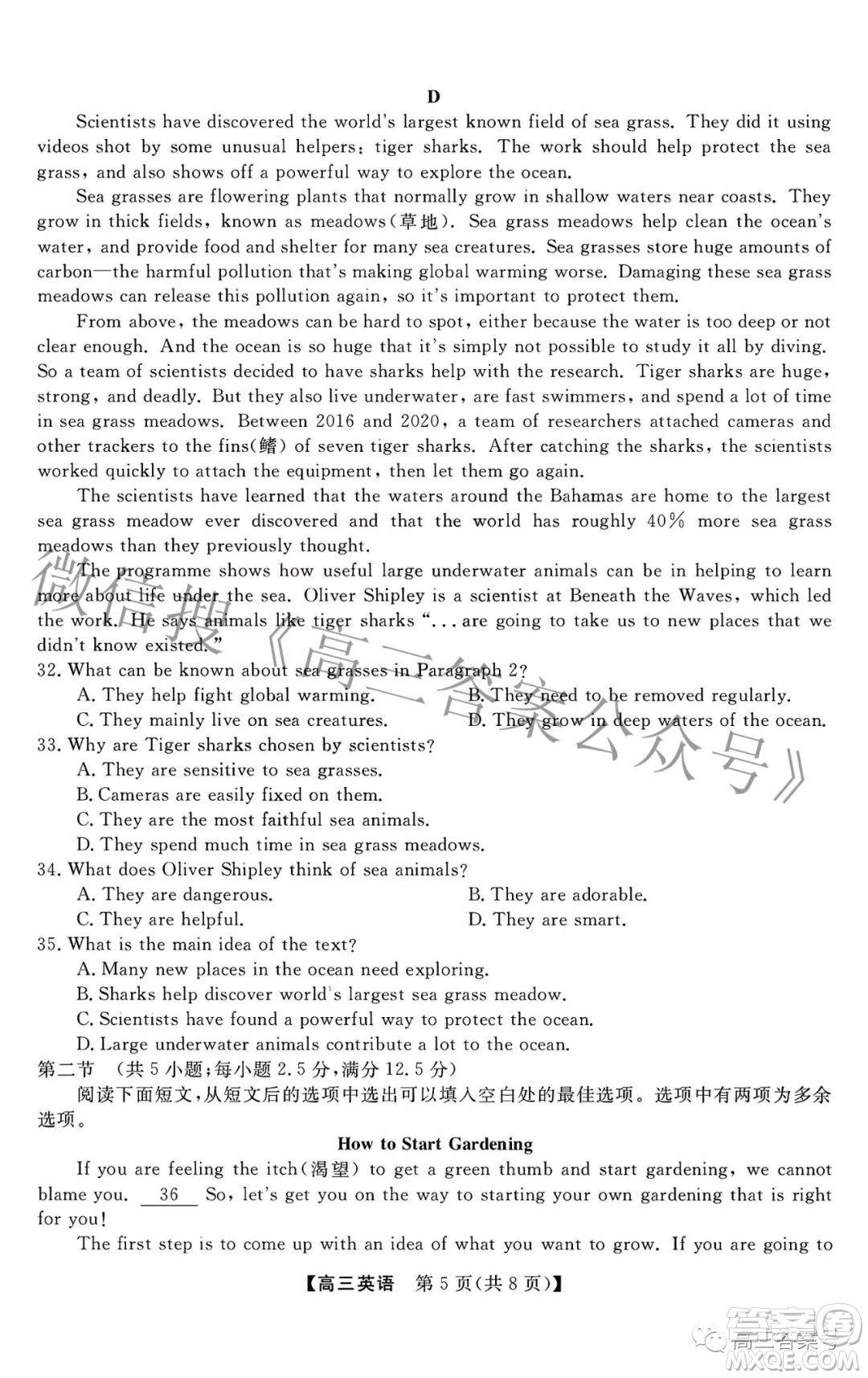 2022-2023學(xué)年金科大聯(lián)考高三12月質(zhì)量檢測(cè)英語(yǔ)試卷答案