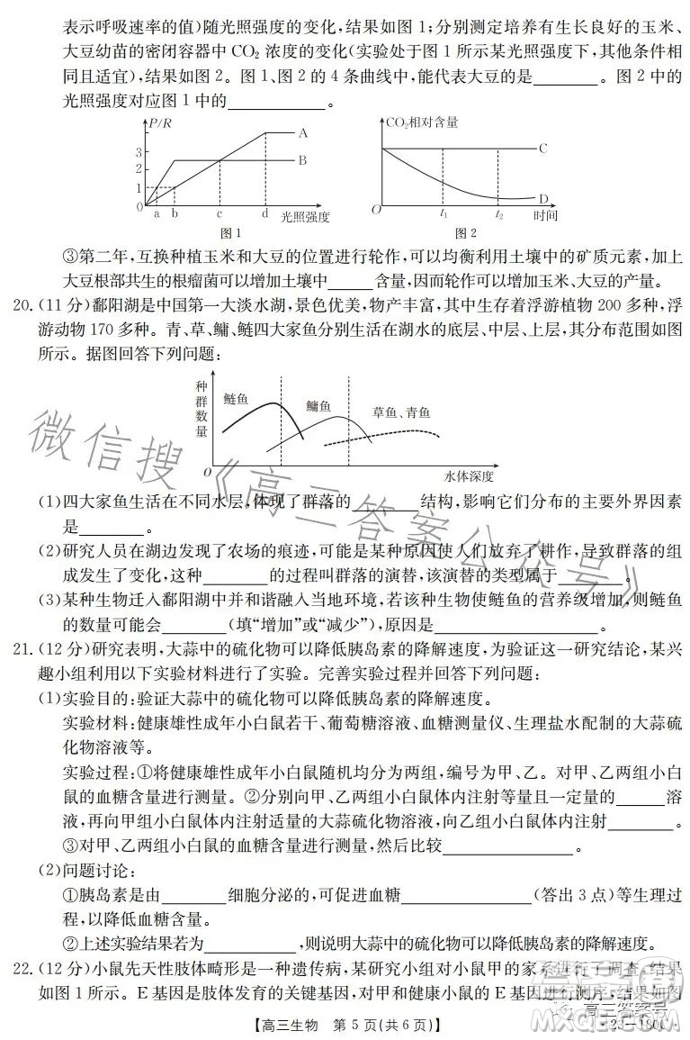 2023金太陽(yáng)高三12月聯(lián)考23-180C生物試卷答案