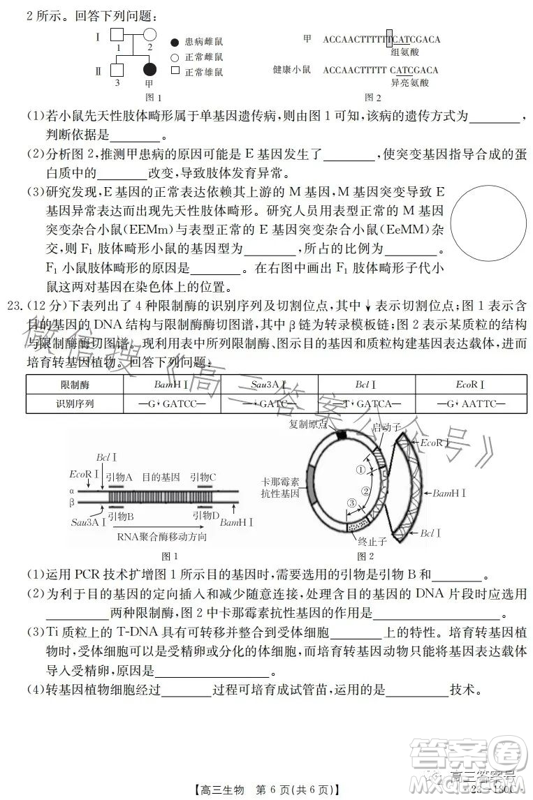 2023金太陽(yáng)高三12月聯(lián)考23-180C生物試卷答案