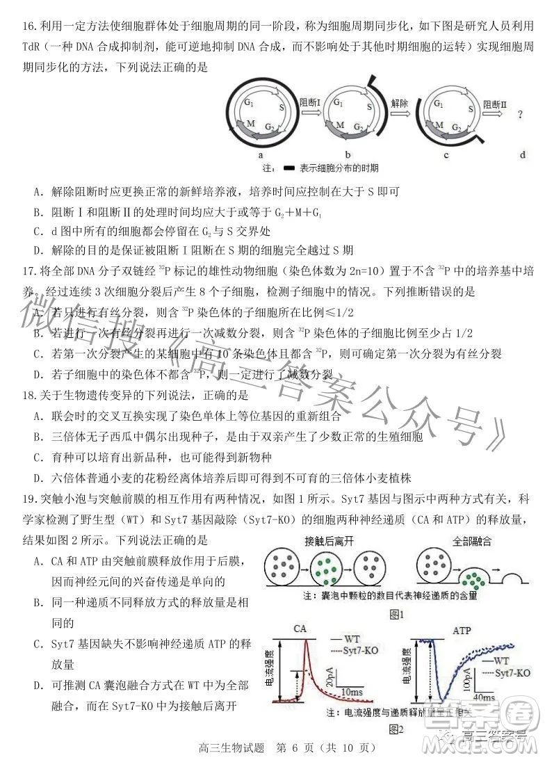 山東中學聯(lián)盟2020級高三12月百校大聯(lián)考生物試卷答案