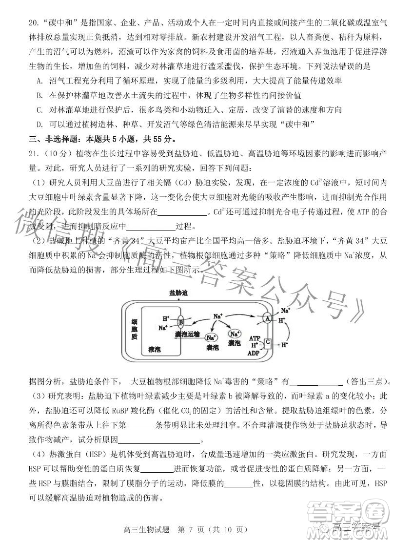 山東中學聯(lián)盟2020級高三12月百校大聯(lián)考生物試卷答案