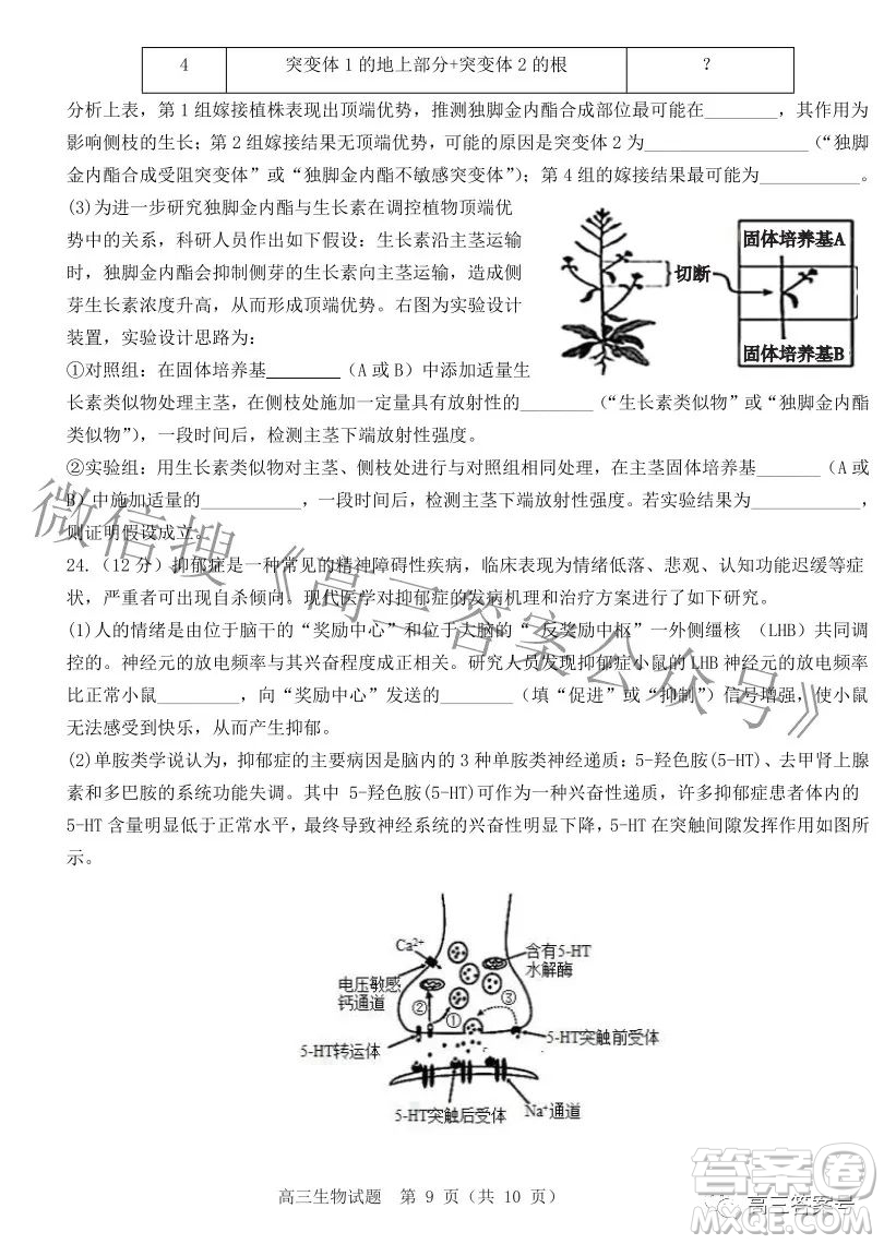 山東中學聯(lián)盟2020級高三12月百校大聯(lián)考生物試卷答案