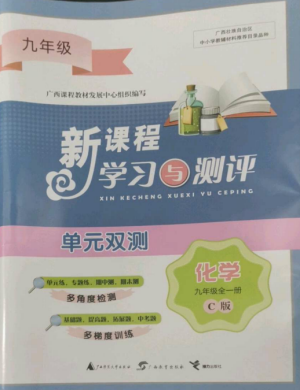 廣西師范大學(xué)出版社2022新課程學(xué)習(xí)與測(cè)評(píng)單元雙測(cè)九年級(jí)化學(xué)全冊(cè)魯教版C版參考答案