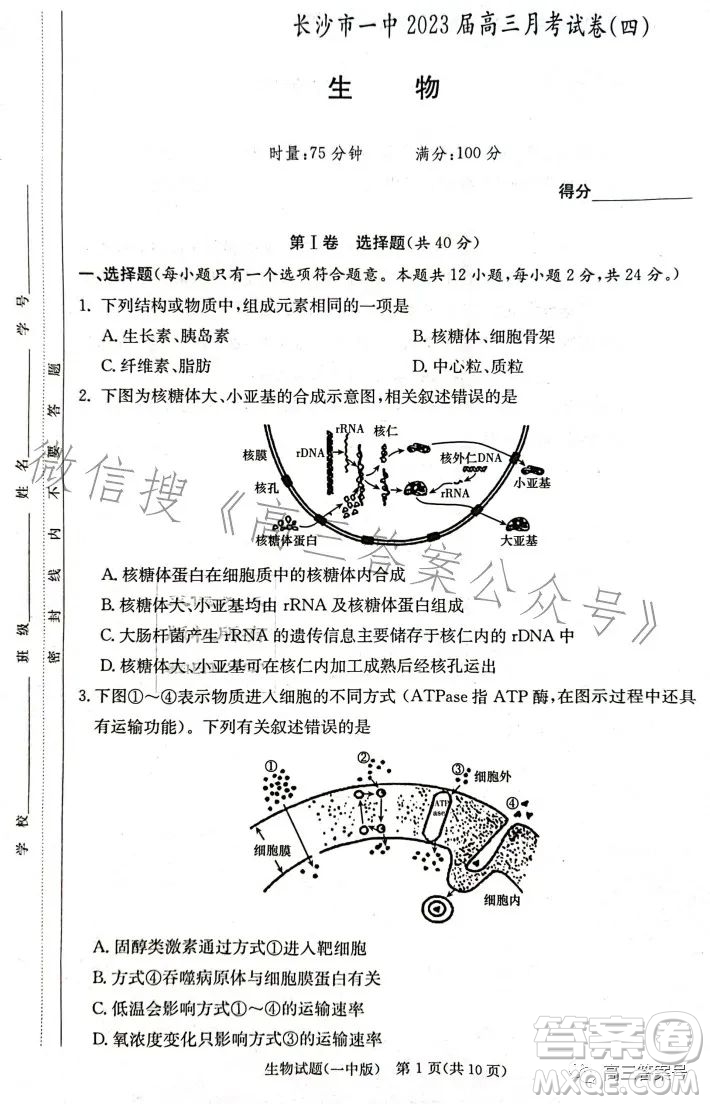 長沙市一中2023屆高三月考試卷四生物試卷答案