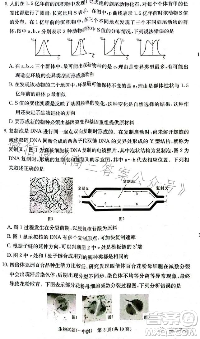 長沙市一中2023屆高三月考試卷四生物試卷答案