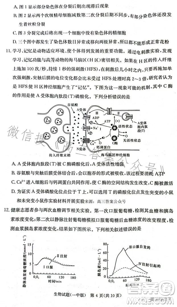 長沙市一中2023屆高三月考試卷四生物試卷答案