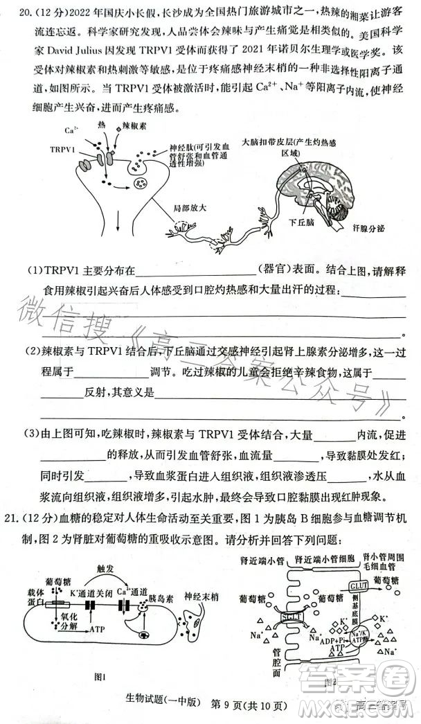 長沙市一中2023屆高三月考試卷四生物試卷答案