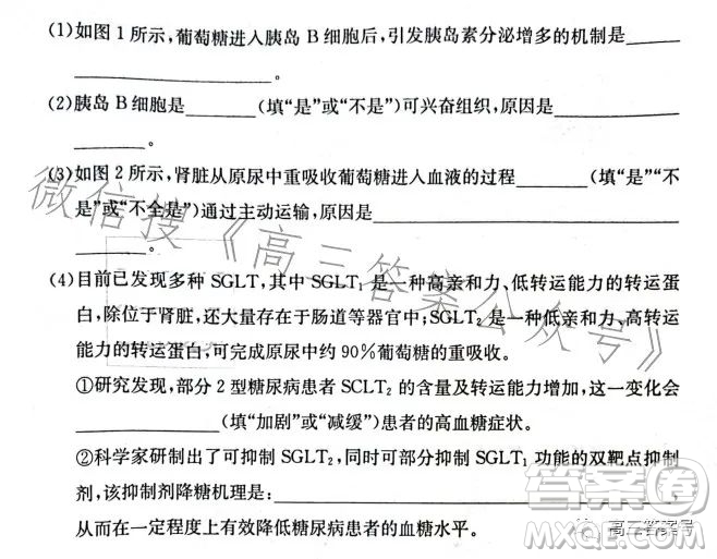 長沙市一中2023屆高三月考試卷四生物試卷答案