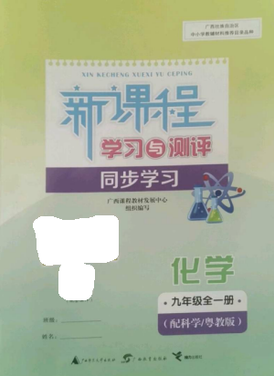 廣西教育出版社2022新課程學習與測評同步學習九年級化學全冊科粵版參考答案