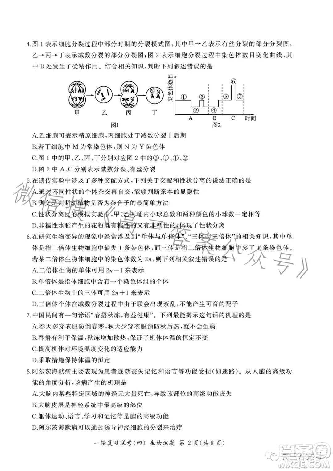 百師聯(lián)盟2023屆高三一輪復(fù)習(xí)聯(lián)考四生物試卷答案