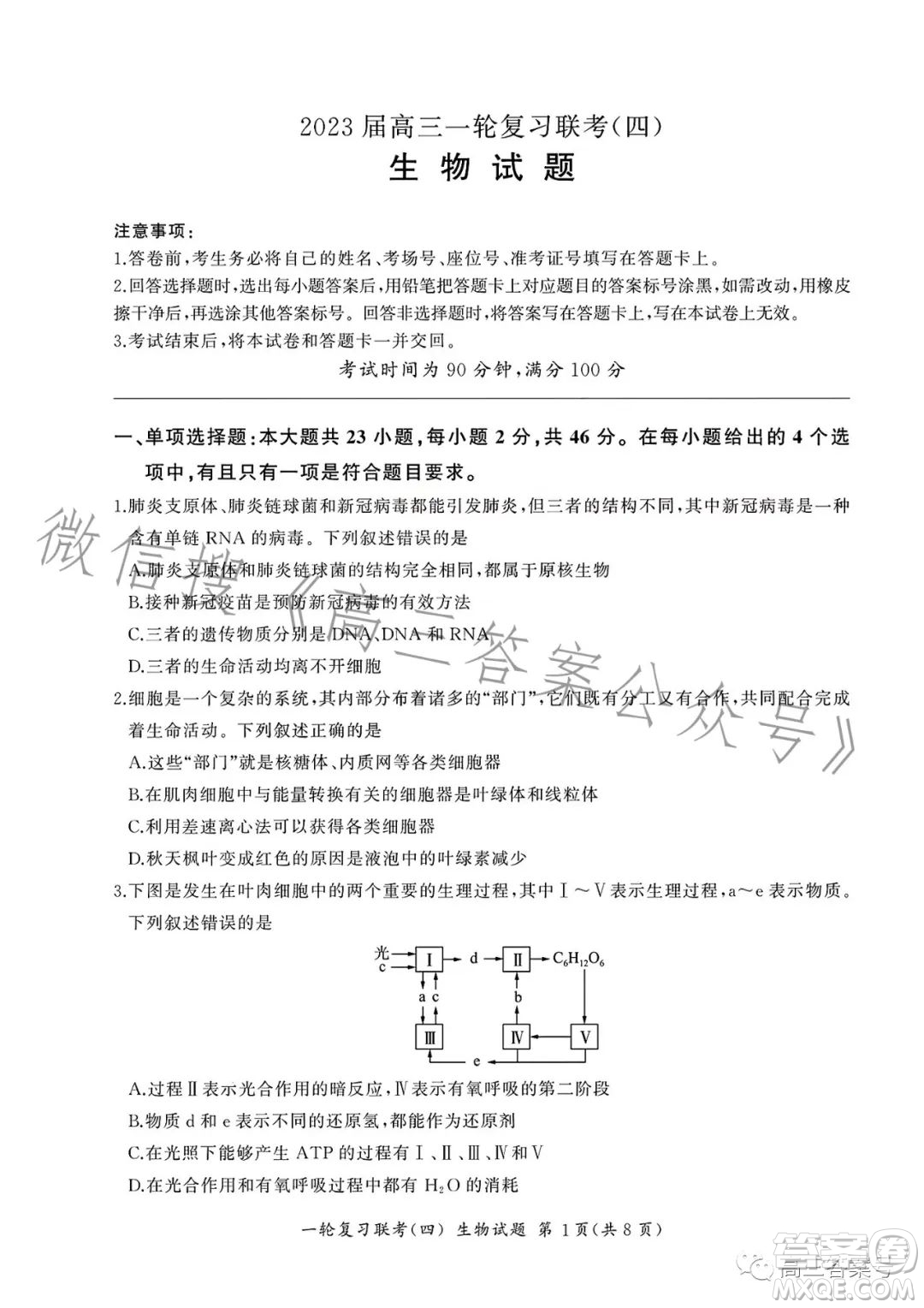 百師聯(lián)盟2023屆高三一輪復(fù)習(xí)聯(lián)考四生物試卷答案