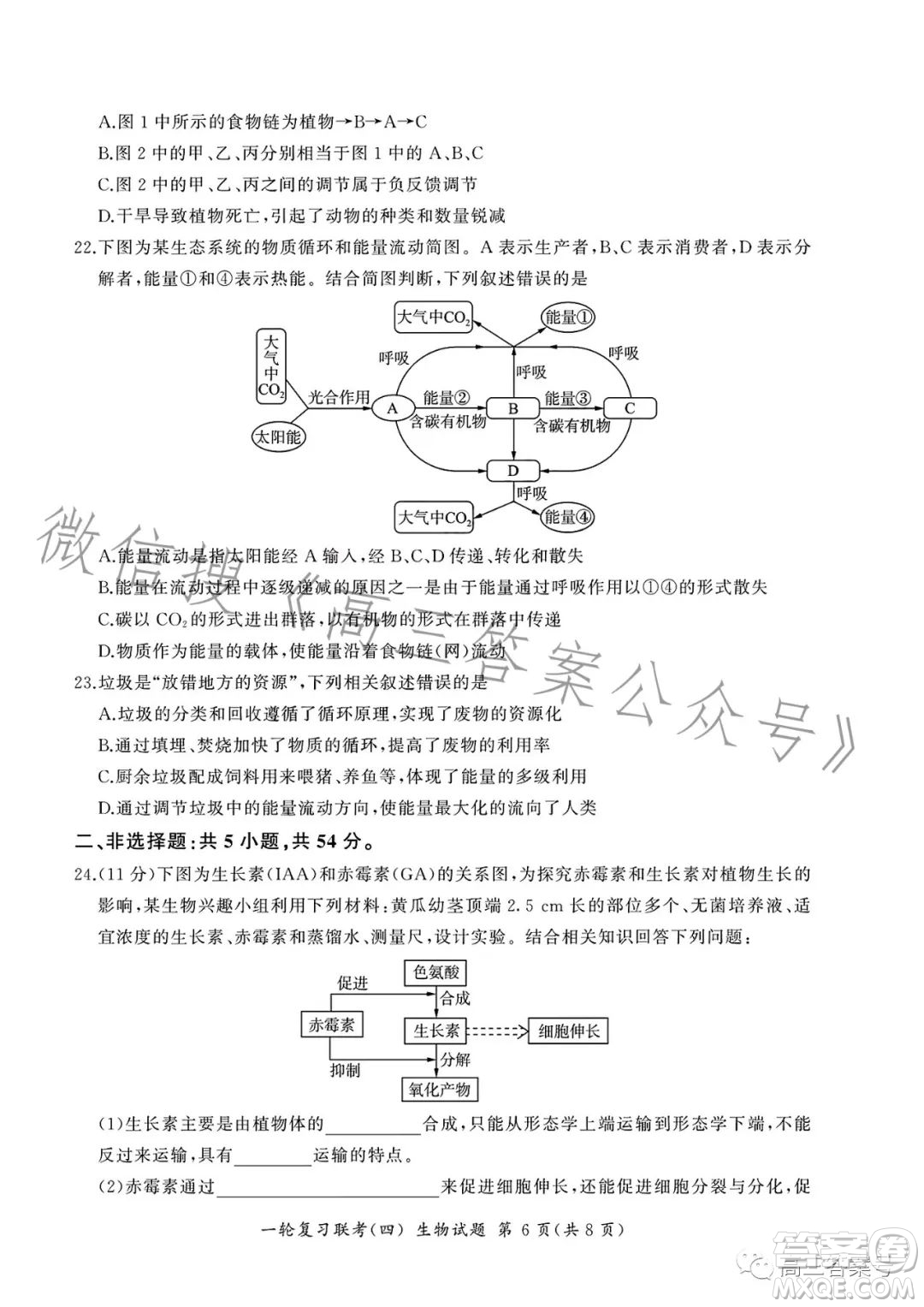 百師聯(lián)盟2023屆高三一輪復(fù)習(xí)聯(lián)考四生物試卷答案