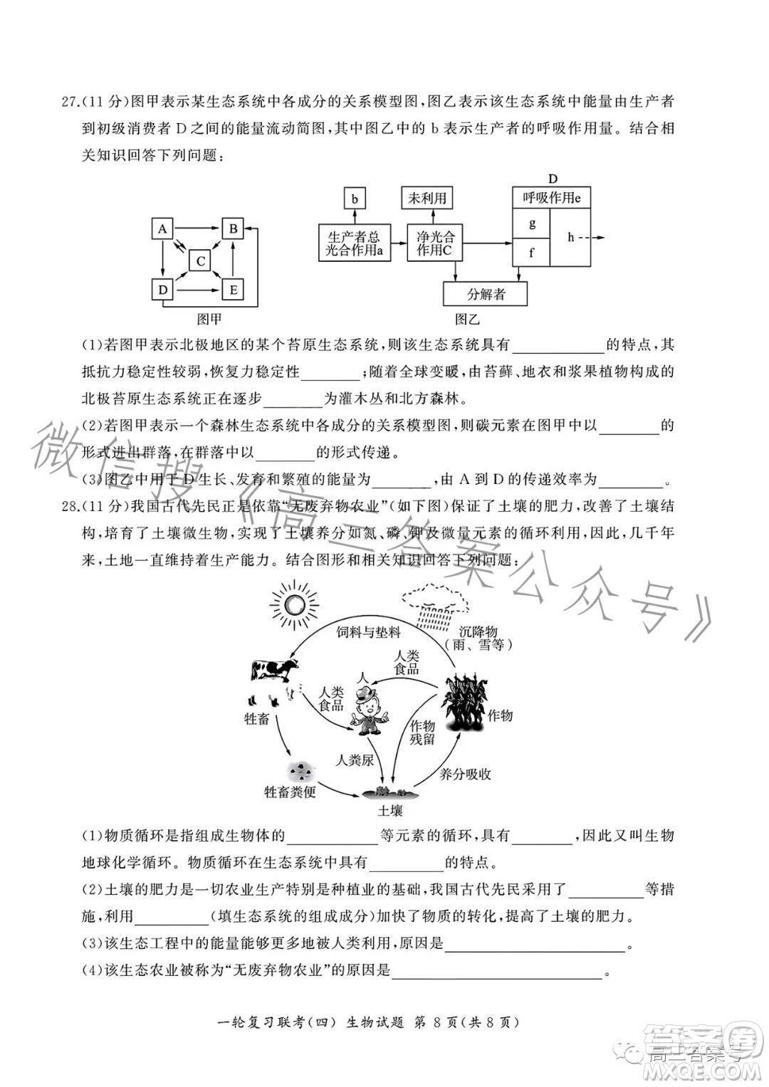 百師聯(lián)盟2023屆高三一輪復(fù)習(xí)聯(lián)考四生物試卷答案