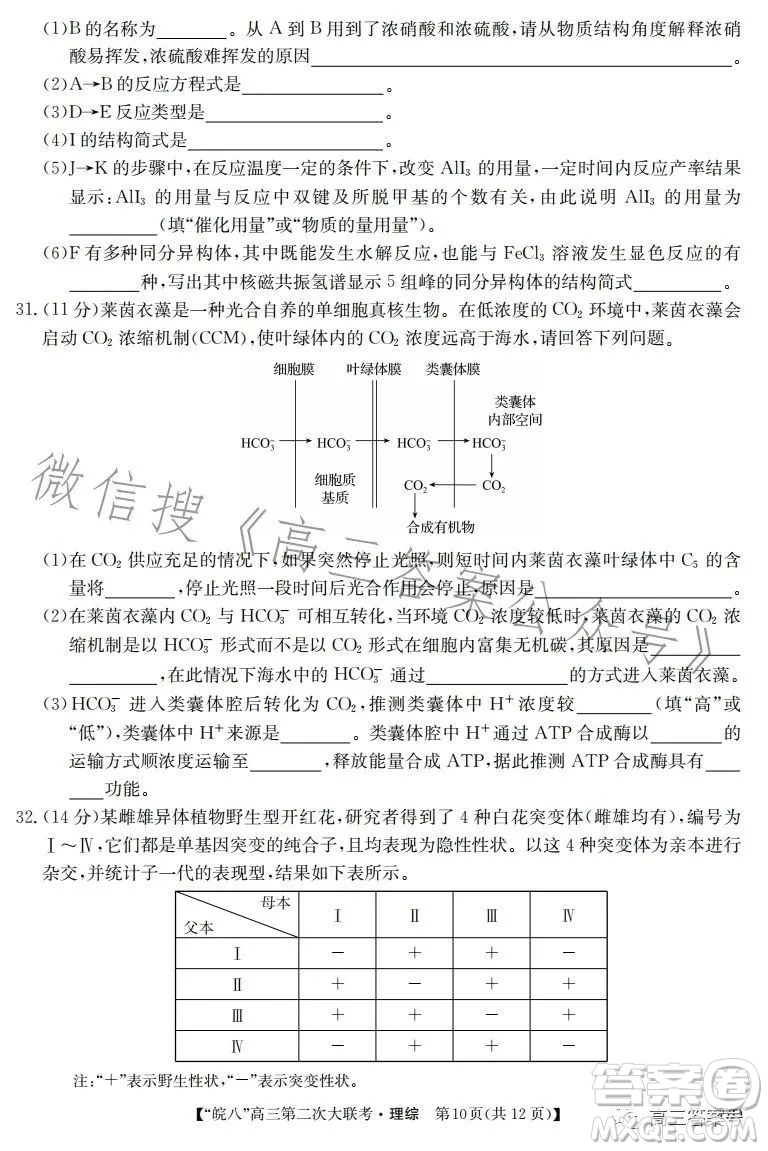 2023屆皖南八校高三第二次大聯(lián)考理科綜合試卷答案