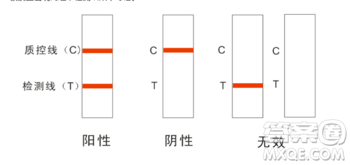 抗原檢測(cè)的原理2023高考考點(diǎn)