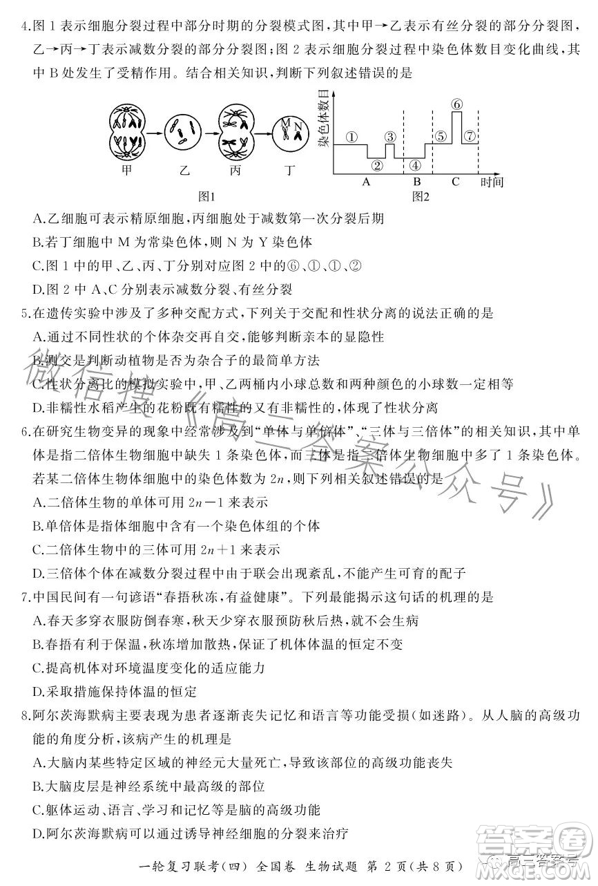 百師聯(lián)盟2022屆高三一輪復(fù)習(xí)聯(lián)考一全國(guó)卷生物試卷答案