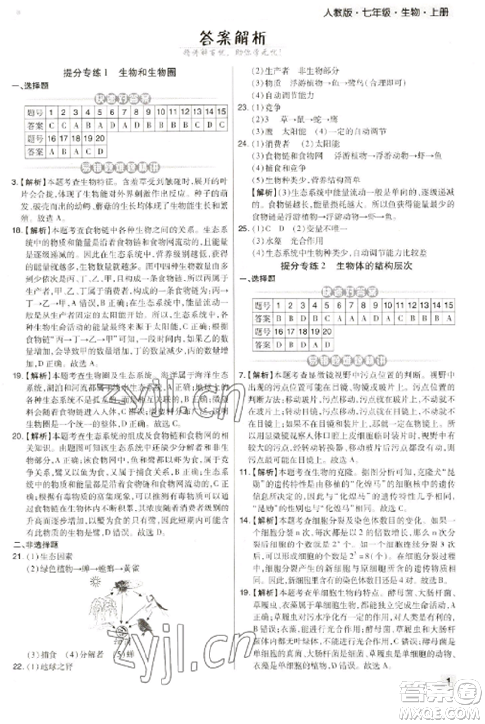 北方婦女兒童出版社2022期末考試必刷卷七年級(jí)生物上冊(cè)人教版河南專版參考答案