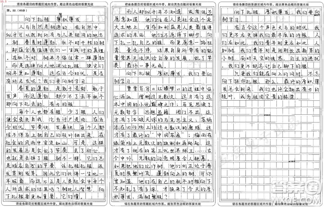 向樹學習主題作文800字 關(guān)于向樹學習的主題作文800字