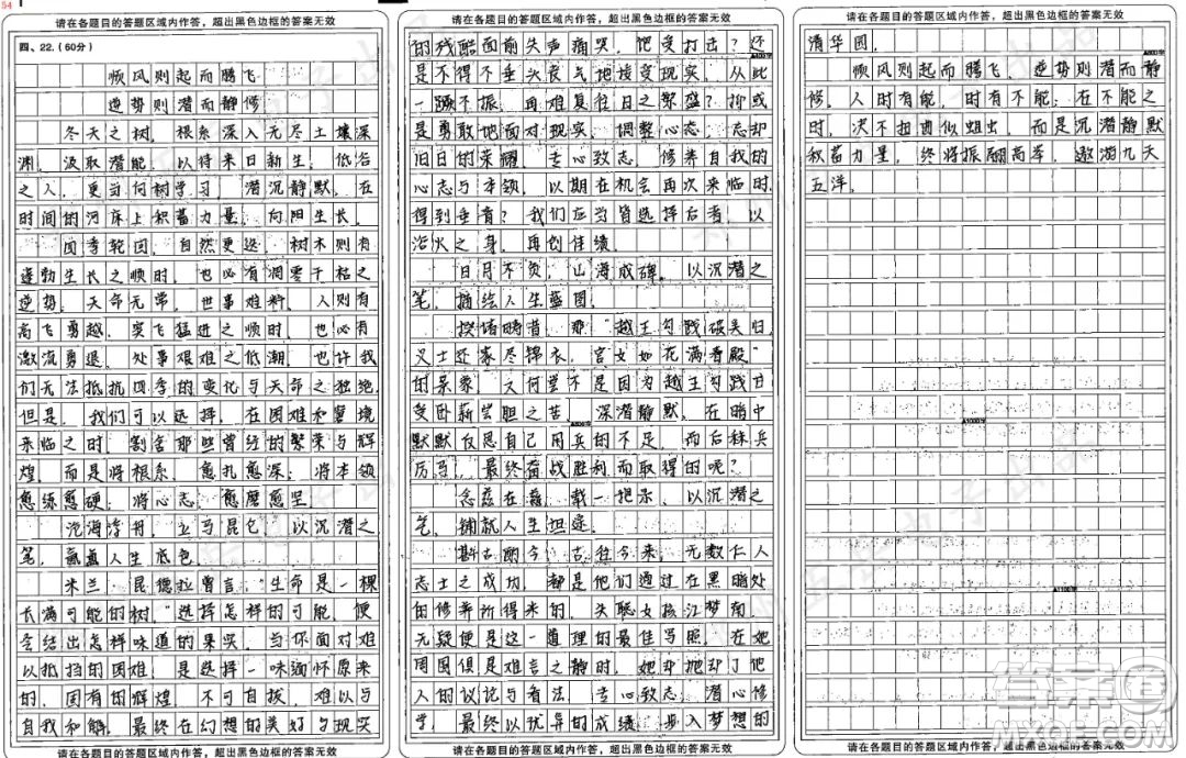 向樹學習主題作文800字 關(guān)于向樹學習的主題作文800字