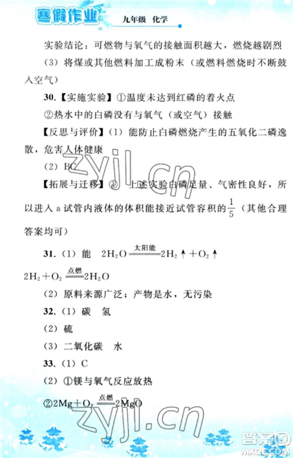 人民教育出版社2023寒假作業(yè)九年級(jí)化學(xué)全冊(cè)人教版參考答案