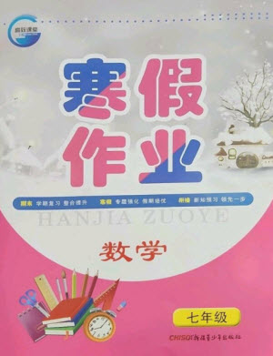 新疆青少年出版社2023寒假作業(yè)七年級(jí)數(shù)學(xué)通用版參考答案