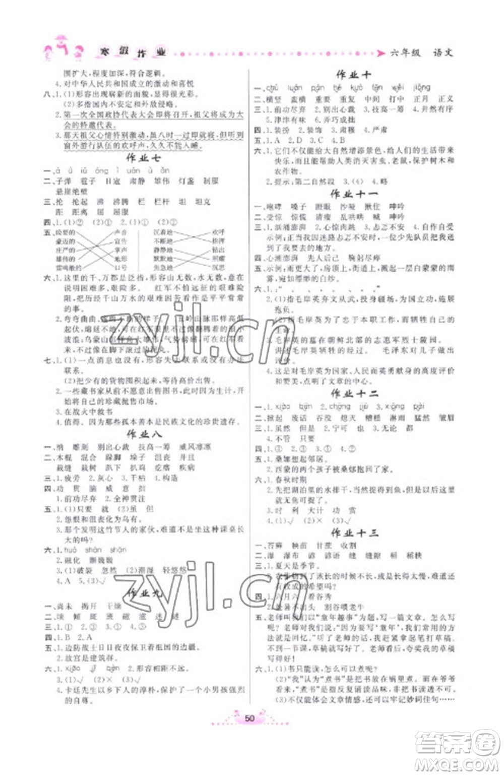 內(nèi)蒙古人民出版社2023寒假作業(yè)六年級語文通用版參考答案