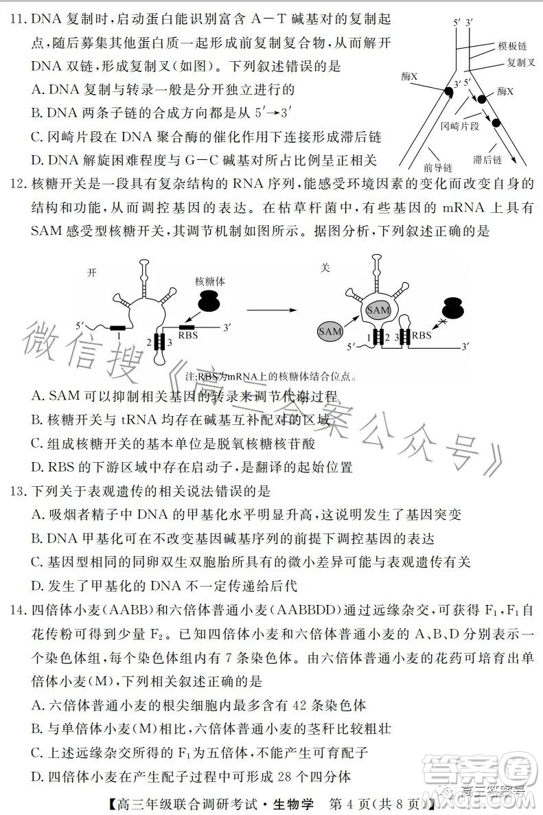 湖北省部分市州2023年元月高三年級聯(lián)合調(diào)研考試生物試卷答案