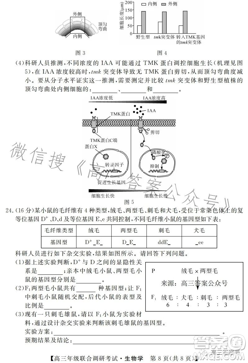 湖北省部分市州2023年元月高三年級聯(lián)合調(diào)研考試生物試卷答案